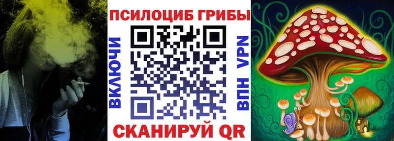 даркнет сайт  Черкесск  Галлюциногенные грибы Magic Shrooms 